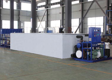 India Máquina de hielo en bloques con trituradora de hielo y sistema de entrega