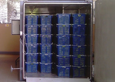 Verduras cargadas en cajas para preenfriamiento al vacío
